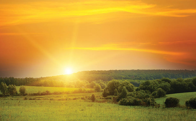 What does farm resilience really mean? The Royal Countryside Fund give their top tips to secure your farm's future