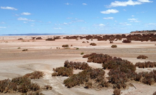  Lefroy's ground near St Ives in WA