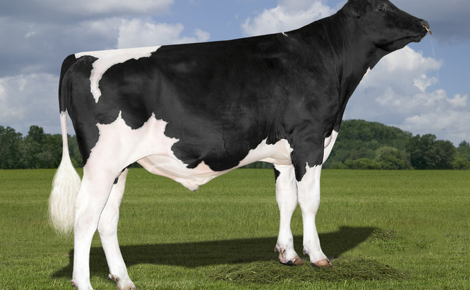 Peak AltaOrvar has hit the number one position on the genomic Holstein sires list