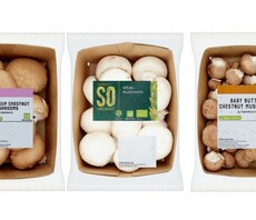 Sainsbury's to save 775 tonnes of plastic waste with mushroom punnet switch