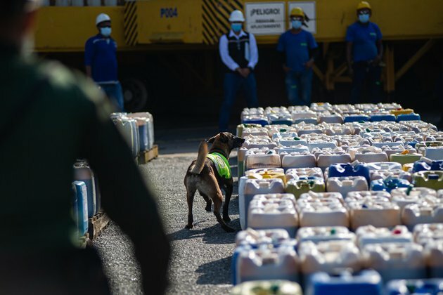 Cocaine set to become Colombia&#039;s biggest export Bloomberg