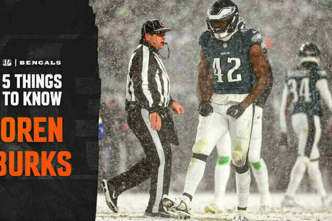 5 Things to Know about New Bengal Oren Burks