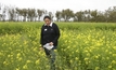 Sclerotinia stem rot's massive impact on WA canola growers