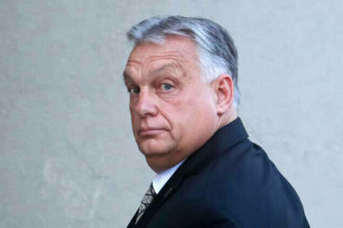 Orban outlines EU security 'guarantee' plan