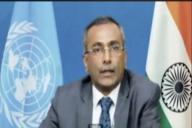 Important political developments taken place in Central African Republic: India at UNSC