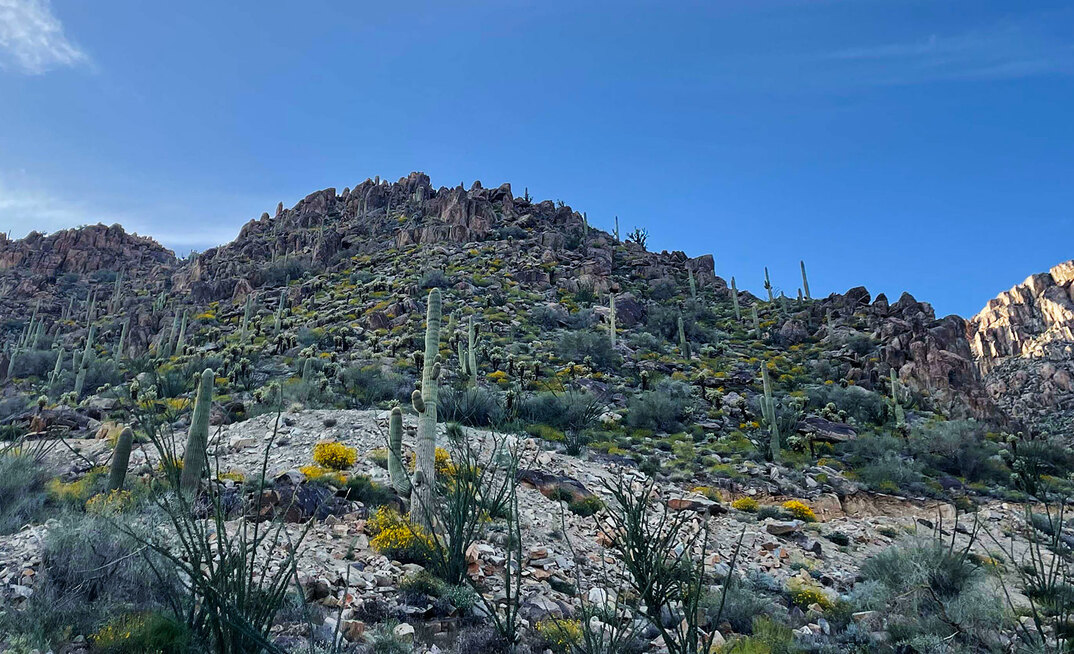 Competing bidders see plenty of blue sky at Antler