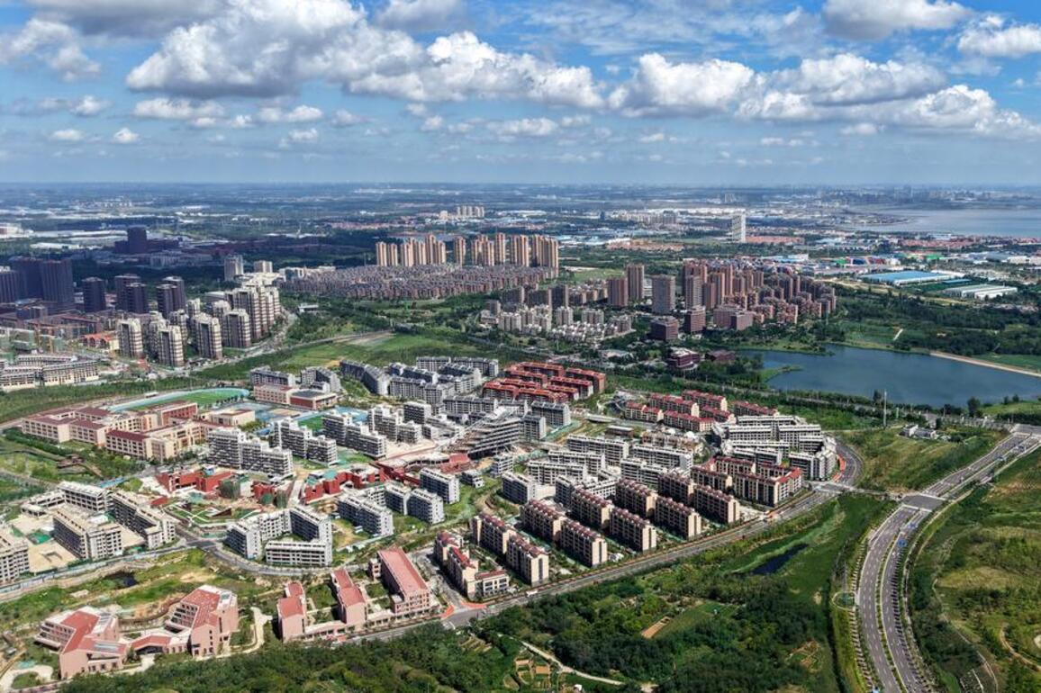 Chinese, European companies explore cooperation in green development, smart manufacturing