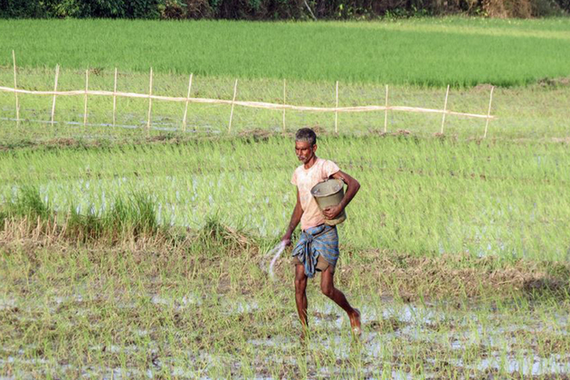 Fertiliser subsidy bill may rise by up to Rs 70,000 crore if crude averages USD 80-90/bbl in FY27: BoB Report