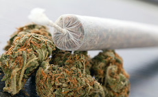 Kingsley invests £10m in Oxford Cannabinoid Technologies