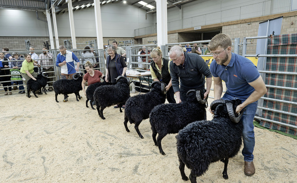 Recognising the value of rare and native breeds