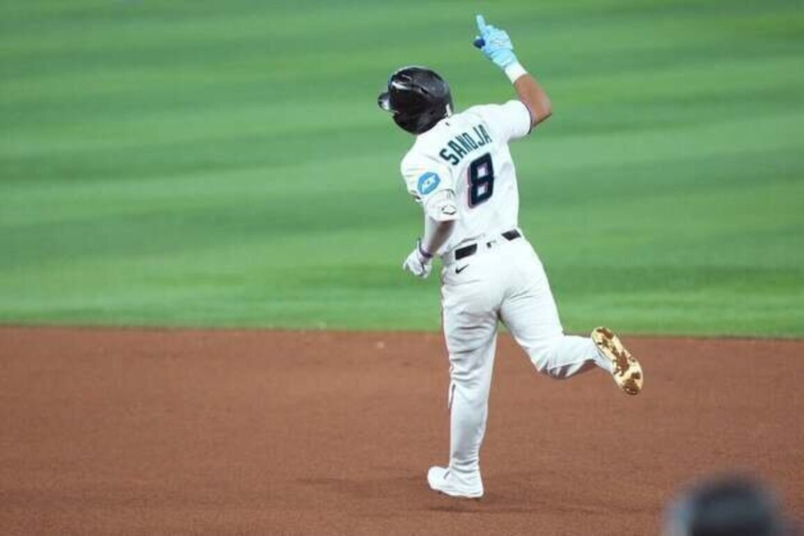 Javier Sanoja leads Marlins past Rays