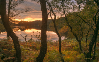 Calls for independent review into the value of National Parks