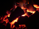 Back to your roots – why coal sales are booming