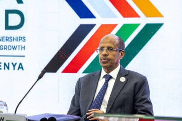 Africa can no longer be sidelined at UN Security Council - AU chief