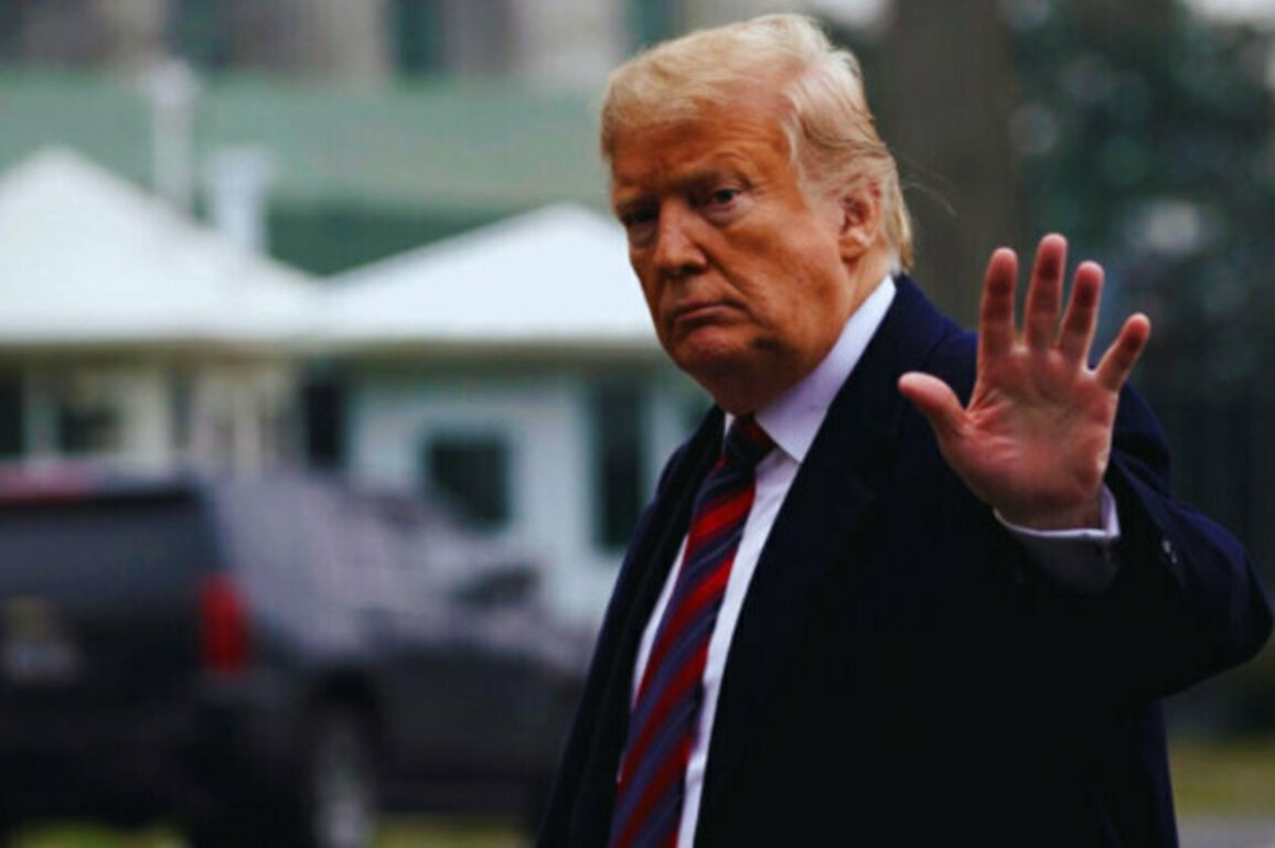 'Vladimir, STOP!': Trump Responds to Deadly Russian Attack on Kyiv