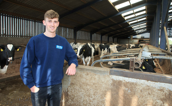 Leicestershire Guernsey and Holstein herd performs well in the show and sale rings
