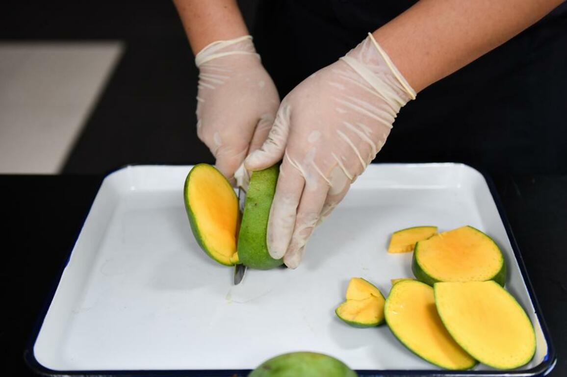 Economy&Life | Bangladeshi mangoes enter China for the first time