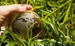 Investors demand more ESG focus from small and micro caps
