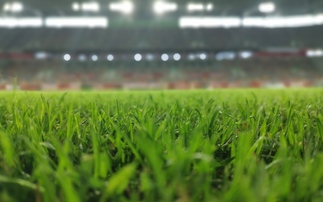 'There are sharks out there': V11 footballer plight highlights professional athlete financial vulnerability