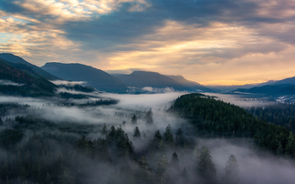 How should businesses choose a credible carbon credit project? 