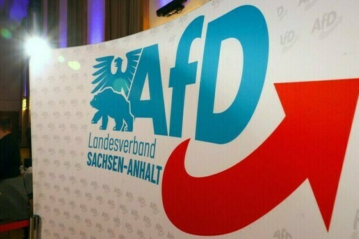 AfD polling higher than ever ahead of key regional vote
