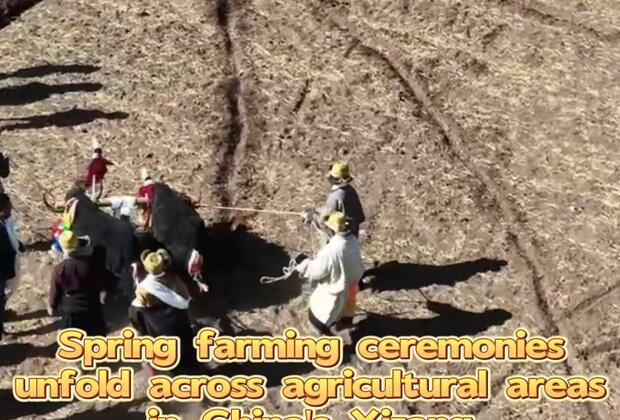 FlyOverChina | Spring farming ceremonies unfold across agricultural areas in China's Xizang