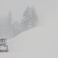 Eight of nine missing skiers found dead in California avalanche