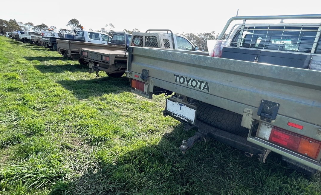 Utes accounted for the top two places in national vehicle sales in August.