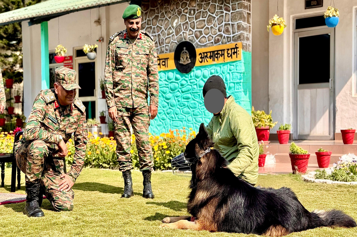 "Wounded yet in high spirits, alert and recovering well," White Knight Corps shares update on assault dog Tyson