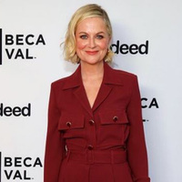 Amy Poehler return to TV in new comedy series 'Dig'