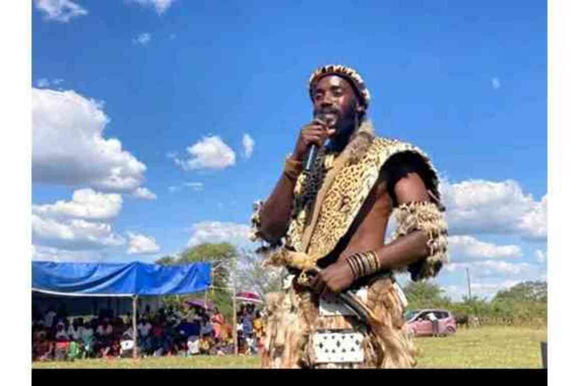Chief Dakamela wants more powers for traditional courts&nbsp;