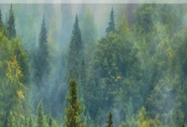 India highlights forest conservation, sustainable management initiatives at 19th session of UNFF