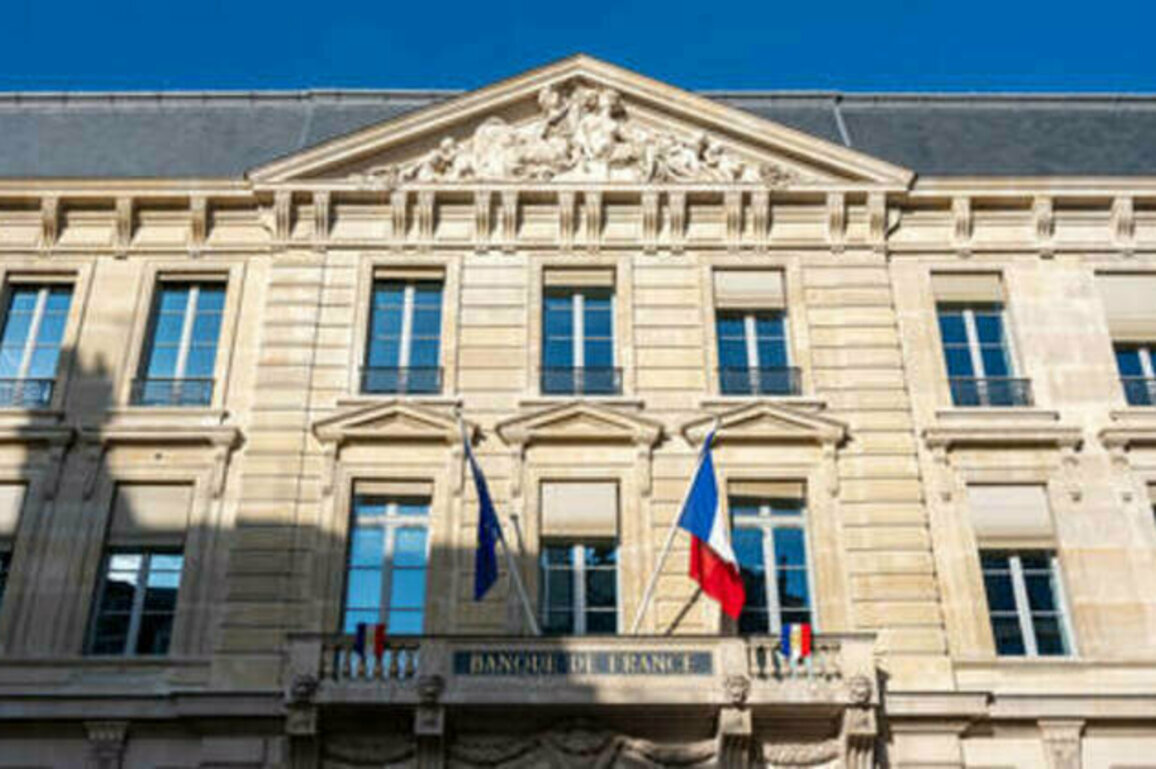 France headed for 'black hole' - financial expert