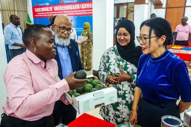 TANZANIA-DAR ES SALAAM-BUSINESS DELEGATION-CIIE