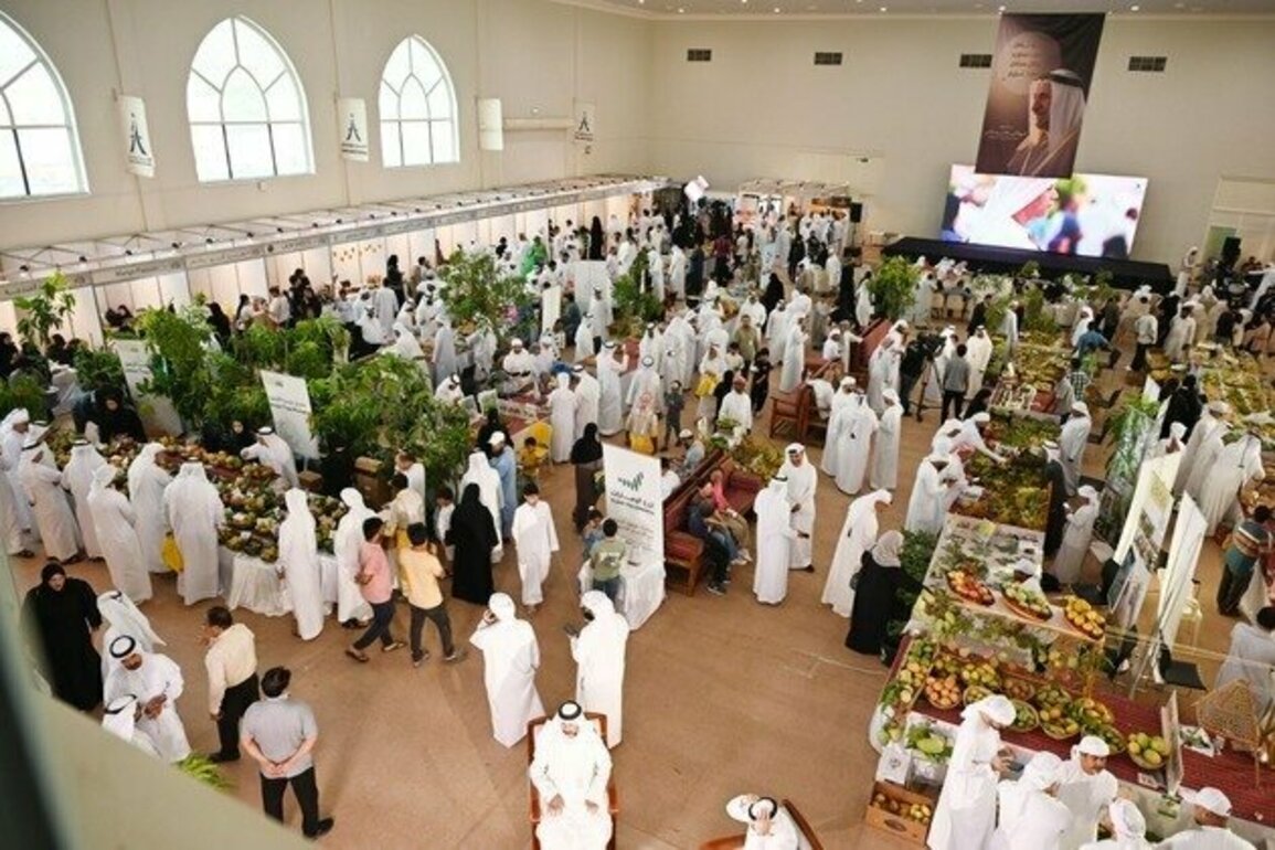Khorfakkan Mango Festival concludes on high note