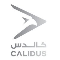 Calidus receives Letter of Intent from Angola for 12 B-250 training aircraft