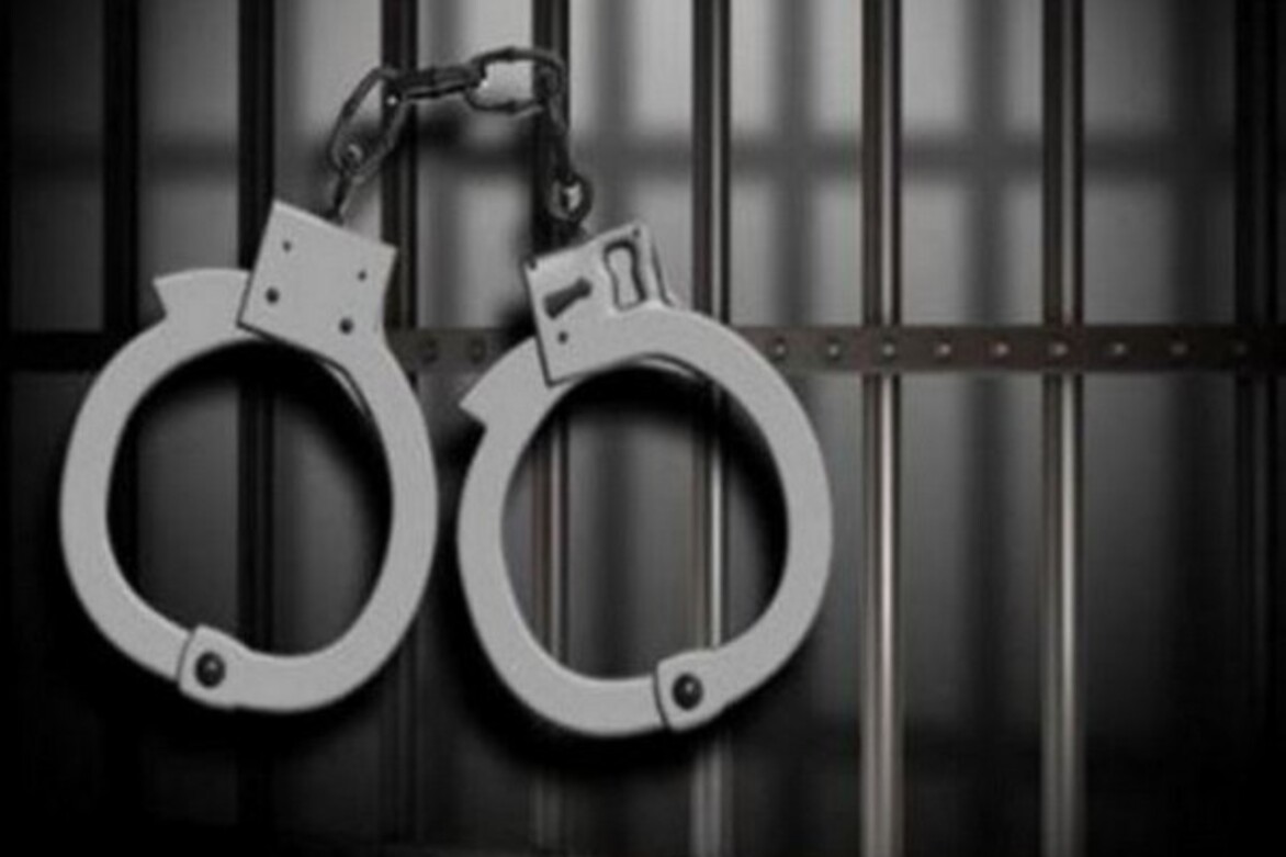 Man held for smuggling 22 kg ganja in Andhra's Nellore; constable injured during chase
