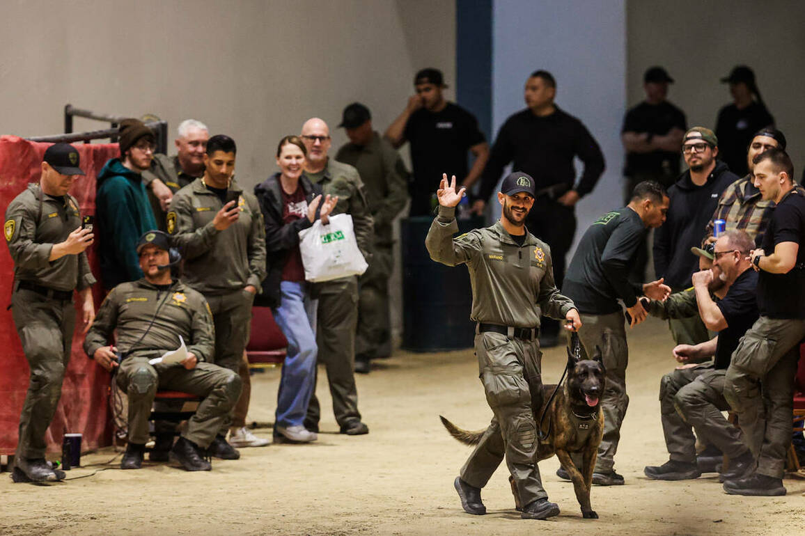 Metro K-9s take bite out of exhibition
