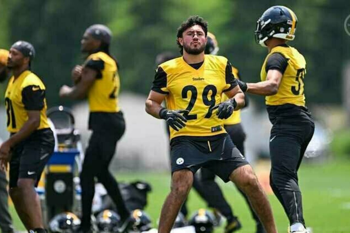 Pre-camp previews: Safety