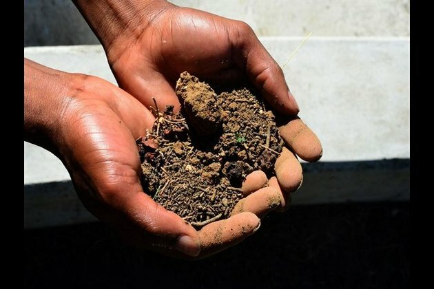 Climate change may impact ability of soil to absorb water: Study