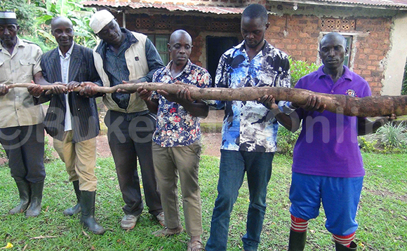 Abasajja mukaaga nga basitudde omuwogo ogwawuniikirizza ekyalo. Abasajja mukaaga nga basitudde omuwogo ogwawuniikirizza ekyalo.
