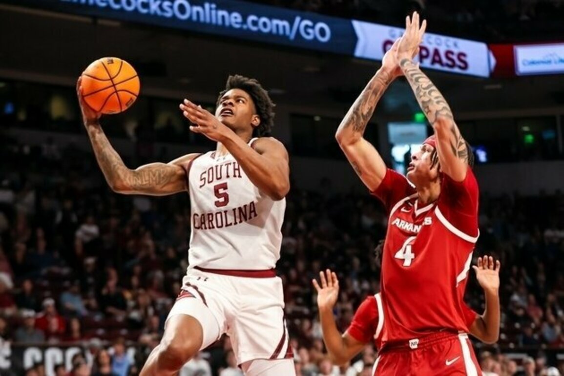 Collin Murray-Boyles' career night lifts South Carolina over Arkansas