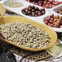 Letter from Mideast: In Yemen's highlands, hope persists where coffee grows
