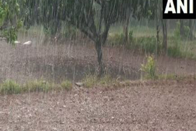 Rainfall in Udhampur's Chanthal village revives hope for growth of paddy crop in farmers