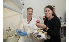  DPIRD technical officer Hannah Hughes (left) and project officer Elisha Cassidy are ready to assess grain samples for phosphine resistance as part of a national surveillance program. Picture courtesy DPIRD.