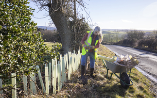 NAO: 'Complex and outdated' regulations mean just nine of 43 nature targets likely to be met