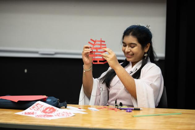 NEW ZEALAND-AUCKLAND-CHINESE PROFICIENCY COMPETITIONS