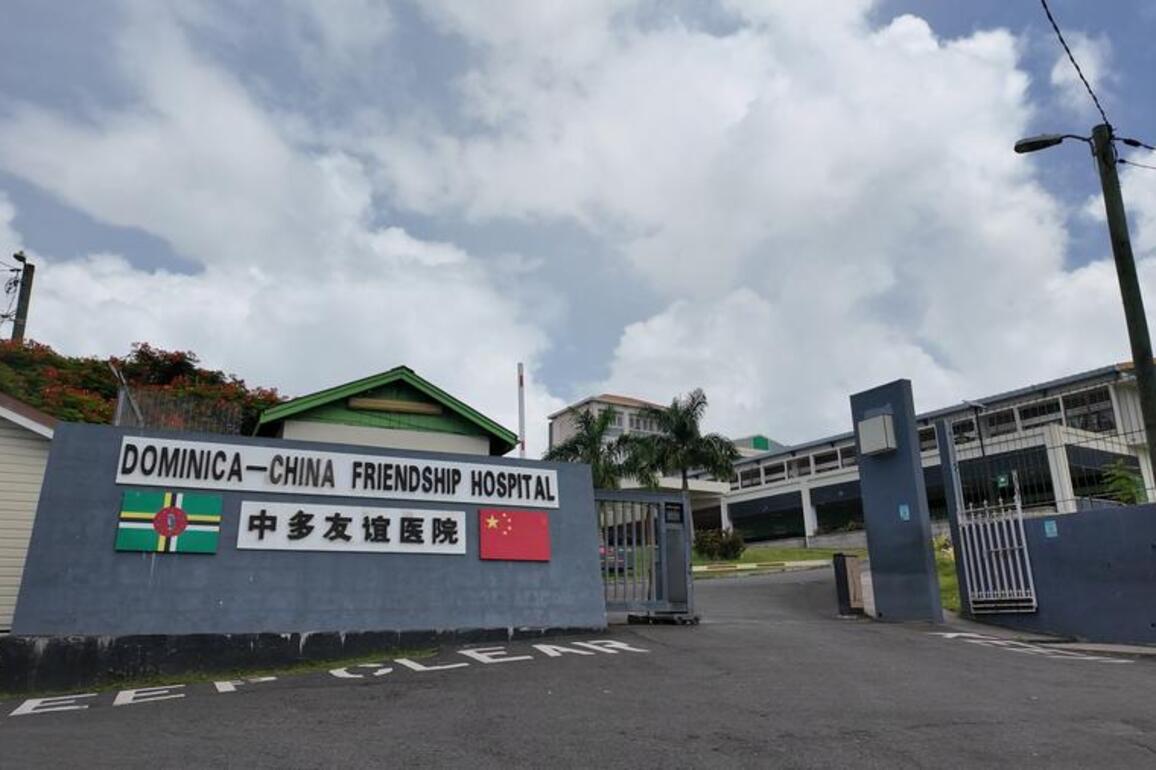 Feature: Diverse projects reflect deep China-Dominica friendship