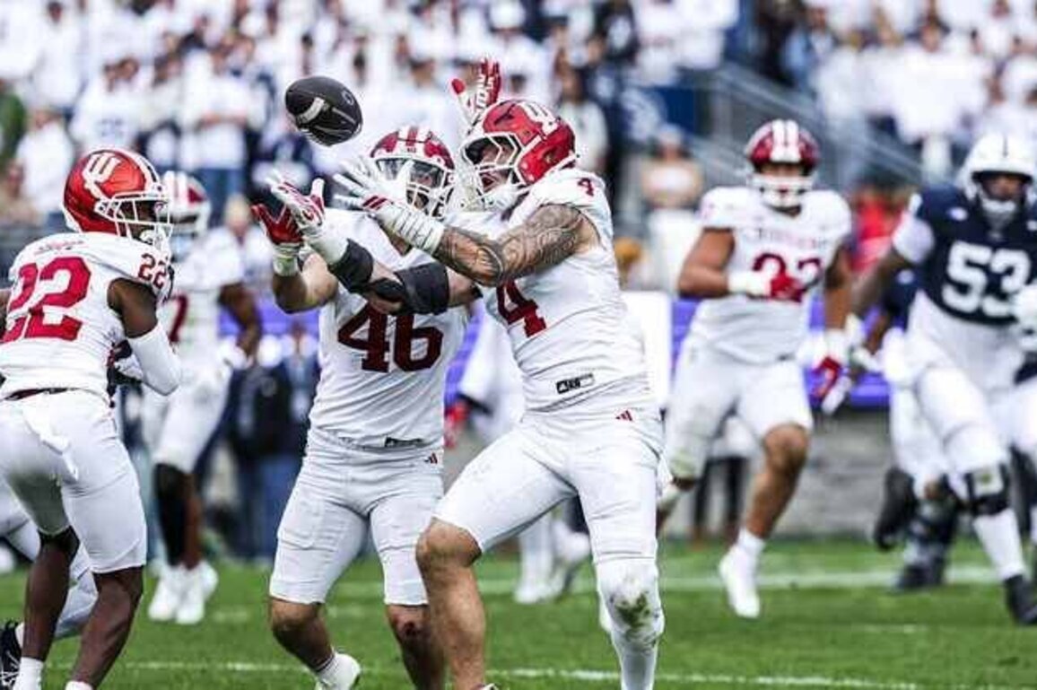 Analysts Take: LB Aiden Fisher