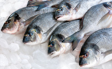 MCH invests in fish distributor Brasmar